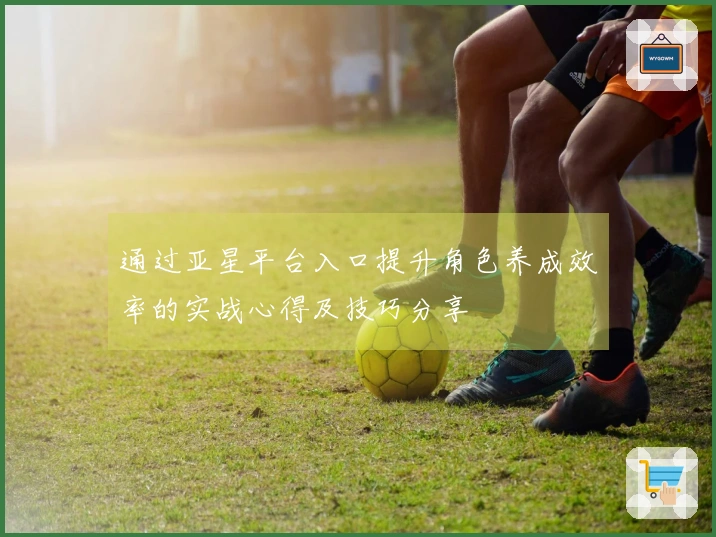 通过亚星平台入口提升角色养成效率的实战心得及技巧分享