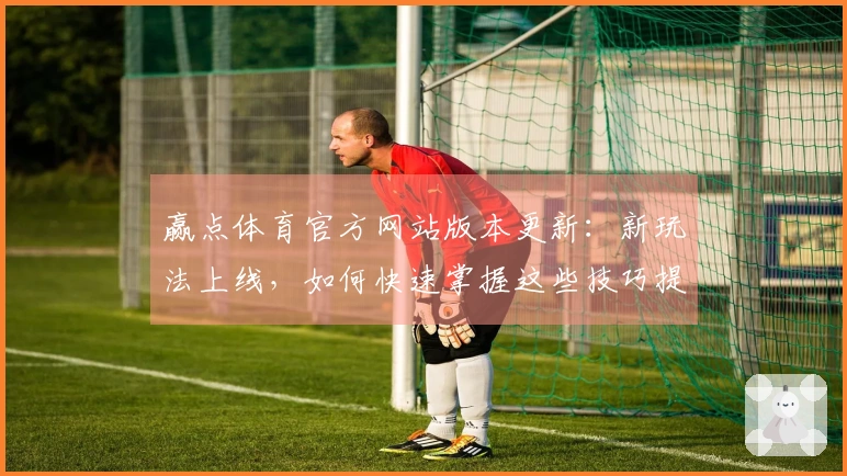 赢点体育官方网站版本更新：新玩法上线，如何快速掌握这些技巧提升游戏体验？