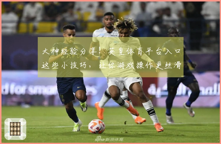 大神经验分享！英皇体育平台入口这些小技巧，让你游戏操作更丝滑！